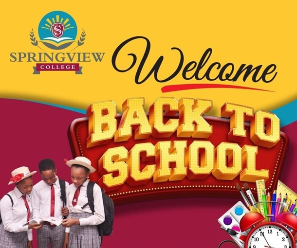 Students at SpringView College