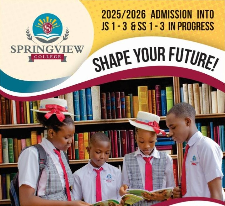 SpringView College Admission Flyer